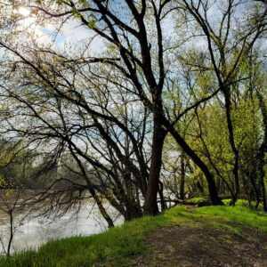 Meandering River β βThe Bridgeβ