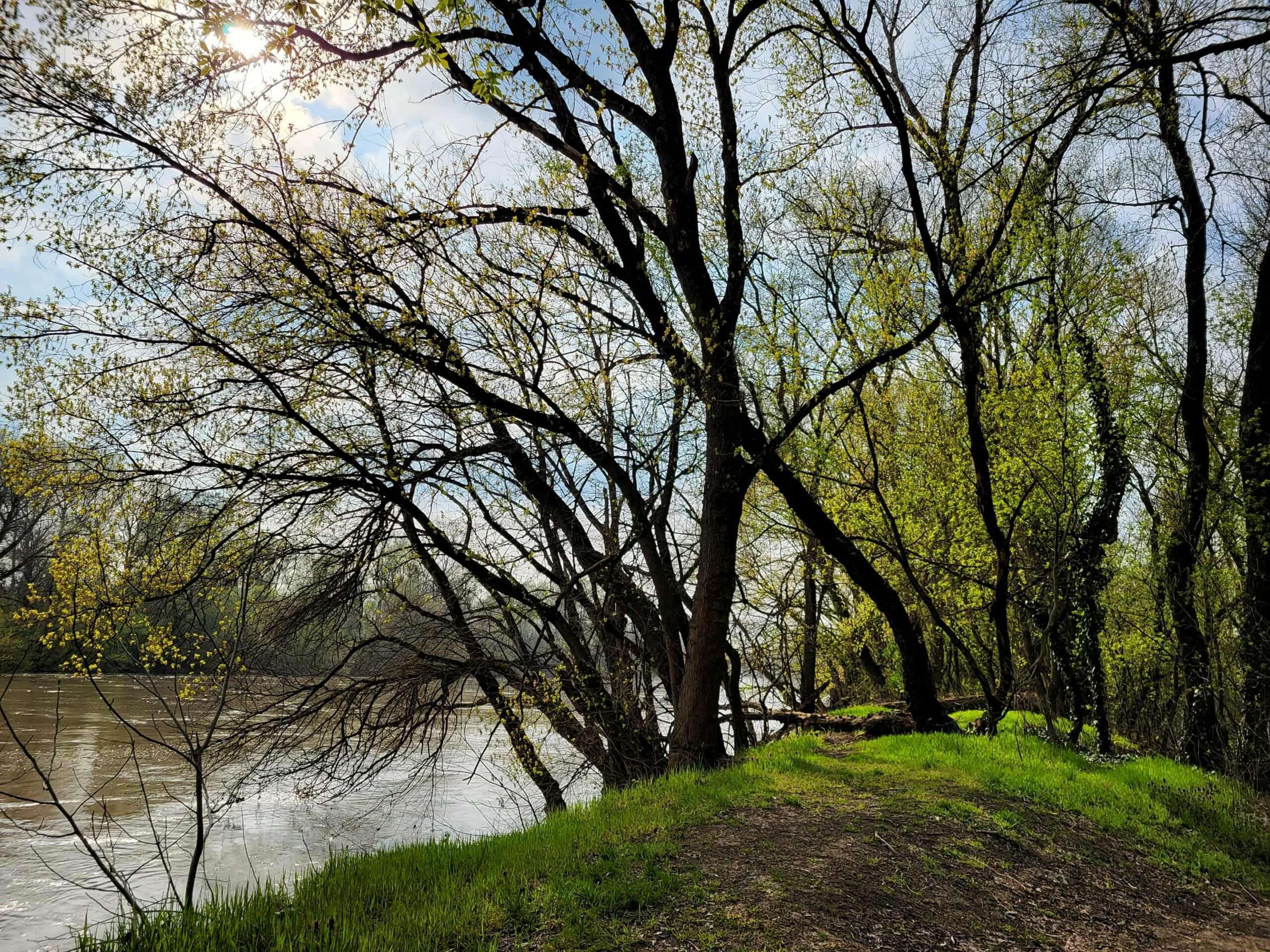 Meandering River – “The Bridge”