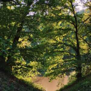Meandering River β βThe Watering Placeβ